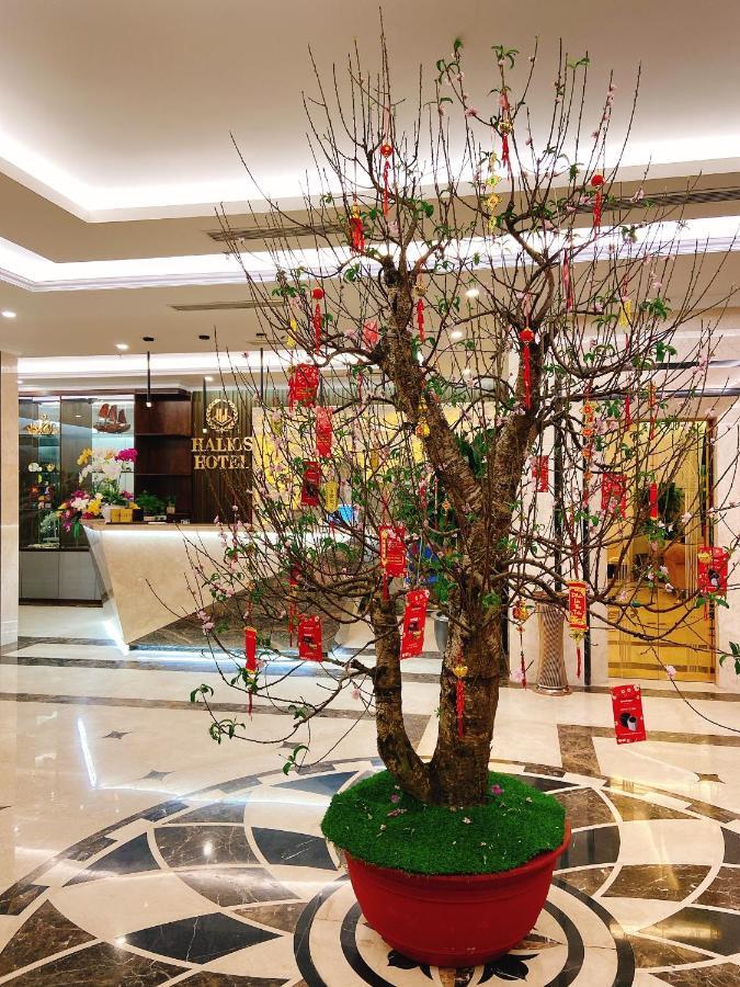 Halios Halong Hotel Халонг Екстер'єр фото
